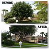 McClean Tree Service & Lawn Care